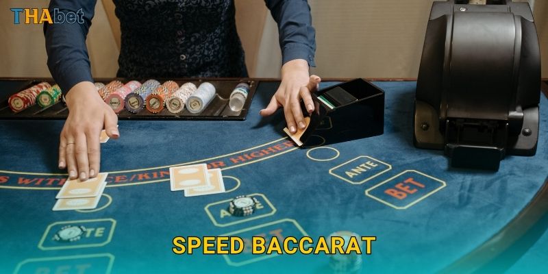 Speed Baccarat nhanh gọn – Ván bài tốc độ tại Thabet