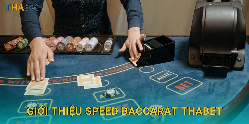 Giới thiệu Speed Baccarat Thabet